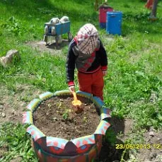 Development